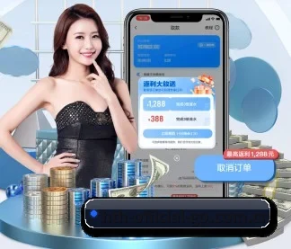 国际化进程 | hth
