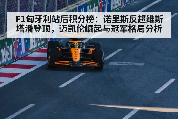 F1匈牙利站后积分榜:诺里斯反超维斯塔潘登顶,迈凯伦崛起与冠军格局分析 | hth